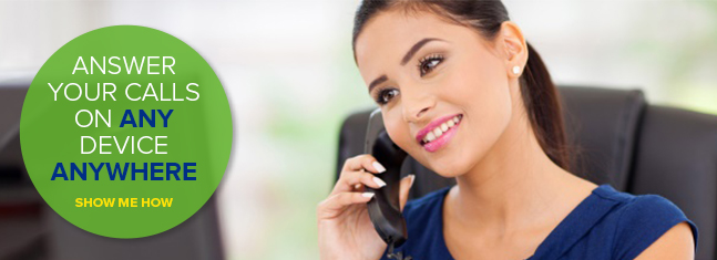 Vodafone One Net Express